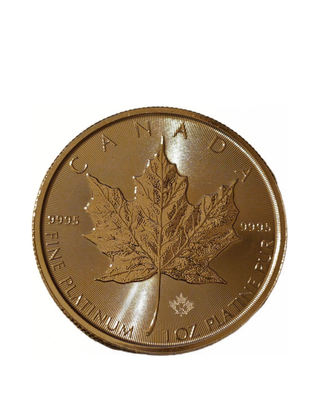 1 Oz Platina Maple Leaf