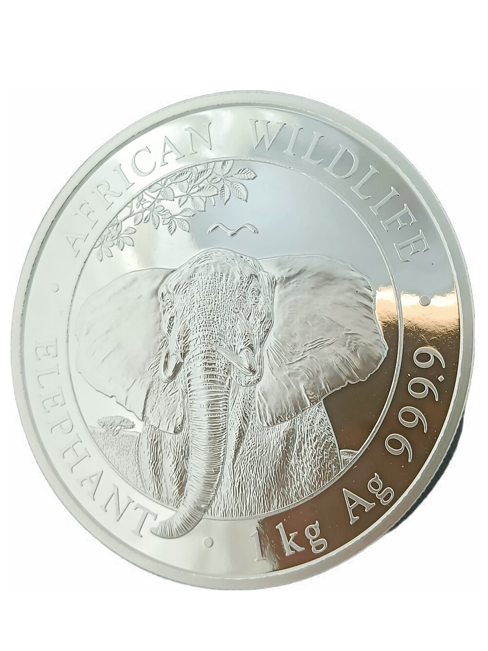 1 Kilo zilveren Somalia Elephant