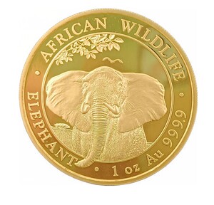1 Oz gouden Somalische olifant