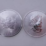 Maple leaf zilver